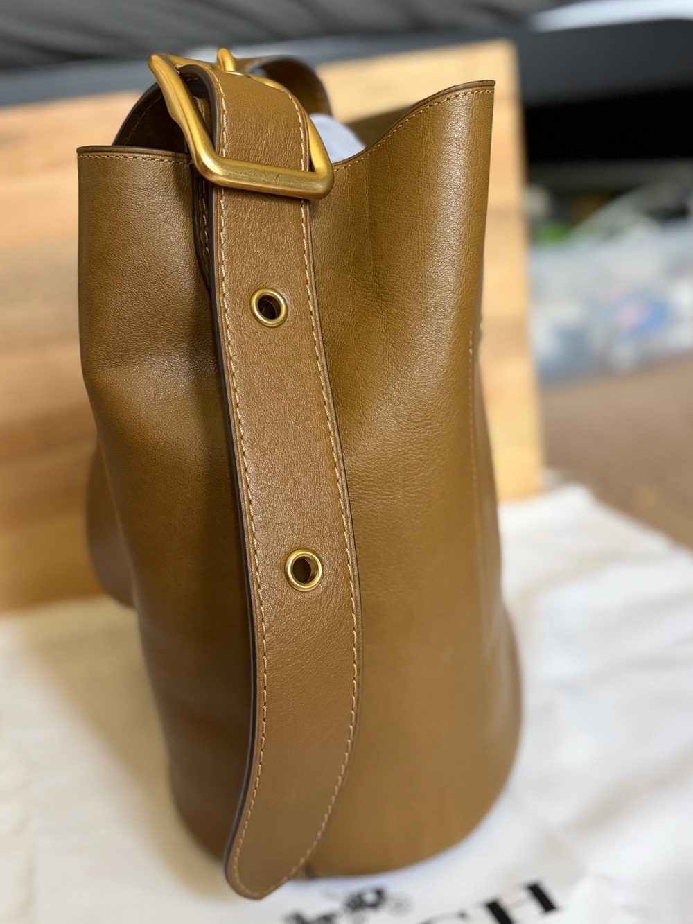 Coach Bleecker Bucket Bag Crossbody Smooth Leather/Brass/Muted Olive-Large Size - Picture 5 of 10